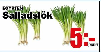 Matdax Salladslök erbjuda