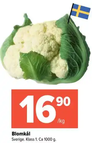 Blomkål