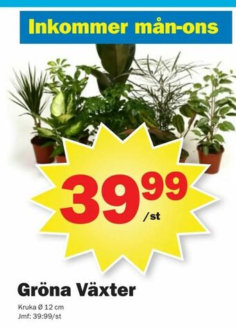 Pekås Gröna Växter erbjuda