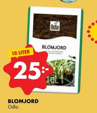 ÖoB Blomjord erbjuda
