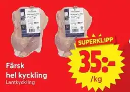 Nya Pulsen Lantkyckling Färsk hel kyckling erbjuda