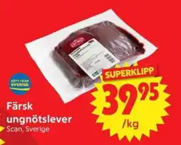 Nya Pulsen Scan Färsk ungnötslever erbjuda