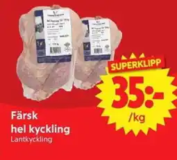 Nya Pulsen Lantkyckling Färsk hel kyckling erbjuda