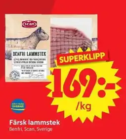 Nya Pulsen Scan Färsk lammstek erbjuda