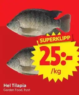 Nya Pulsen Hel Tilapia erbjuda