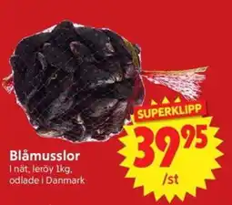 Nya Pulsen Blåmusslor erbjuda