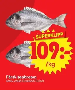 Nya Pulsen Färsk seabream erbjuda