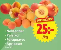 Nya Pulsen Nektariner • Persikor • Paraguayos • Aprikoser erbjuda