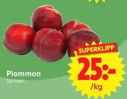 Nya Pulsen Plommon erbjuda