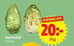 Nya Pulsen Spetskål erbjuda