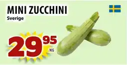Matvärlden Tensta Mini zucchini erbjuda