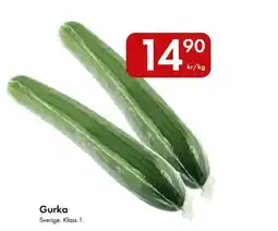 Snabbgross Gurka erbjuda