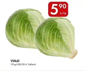 Snabbgross Vitkål erbjuda