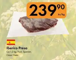 Snabbgross Iberico Presa erbjuda