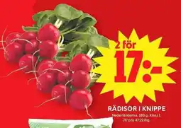 ICA Maxi Rädisor i knippe erbjuda