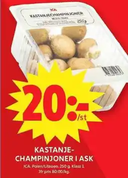 ICA Maxi Kastanje- Champinjoner I Ask erbjuda