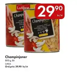 Snabbgross Lutèce Champinjoner erbjuda