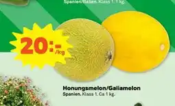 Stora Coop Honungsmelon/Galiamelon erbjuda