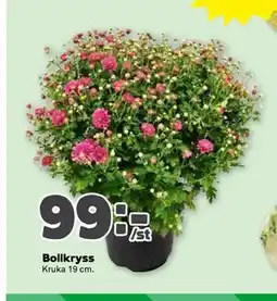 Stora Coop Bollkryss erbjuda