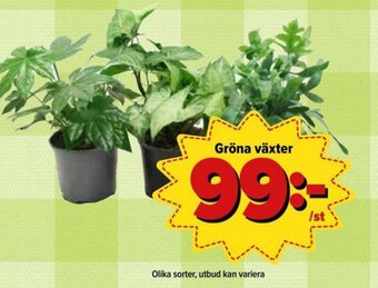 Östenssons Gröna växter erbjuda