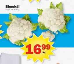 Pekås Blomkål erbjuda