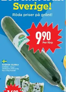 Willys SVENSK GURKA erbjuda