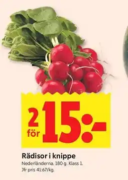 ICA Kvantum Rädisor i knippe erbjuda