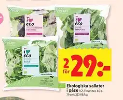ICA Kvantum Ekologiska sallater i påse erbjuda