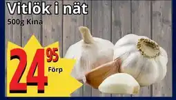 Supergrossen Vitlök i nät erbjuda