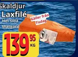 Supergrossen Laxfilé erbjuda
