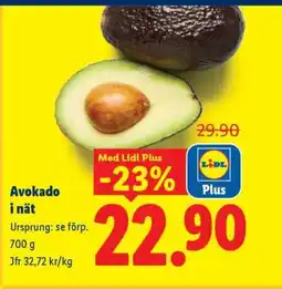 Lidl Avokado i nät erbjuda