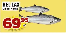 Matvärlden Tensta Hel lax erbjuda
