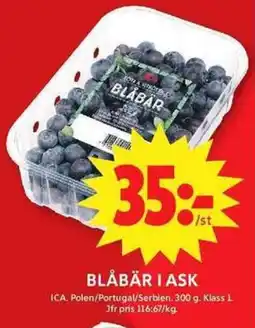 ICA Maxi Ica Blåbär i ask erbjuda