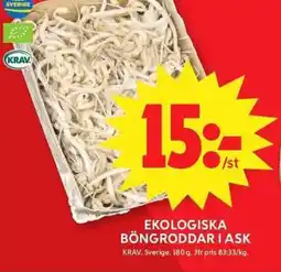 ICA Maxi Ekologiska böngroddariask erbjuda