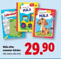 Lidl Måla efter nummer-böcker erbjuda