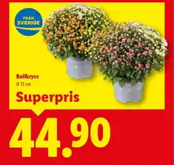 Lidl Bollkryss erbjuda