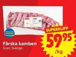 Nya Pulsen Scan Färska kamben erbjuda