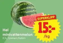 Nya Pulsen Hel minivattenmelon erbjuda