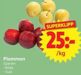Nya Pulsen Plommon erbjuda