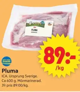 ICA Supermarket ICA Pluma erbjuda