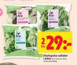 ICA Supermarket EKOLOGISKA SALLATER I PÅSE erbjuda