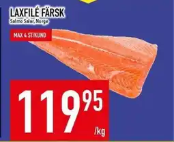 Matdax Laxfilé Färsk erbjuda