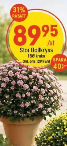 EKO Stor Bollkryss erbjuda