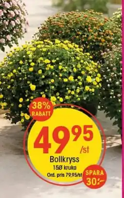 EKO Bollkryss erbjuda