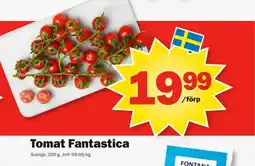 Pekås Tomat Fantastica erbjuda