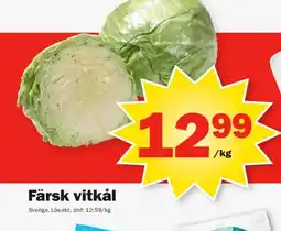 Pekås Färsk vitkål erbjuda