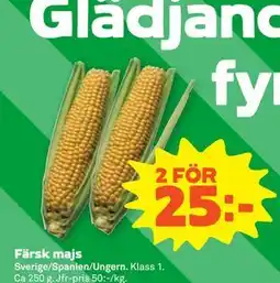Stora Coop Färsk majs erbjuda