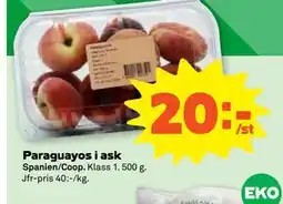 Stora Coop Paraguayos i ask erbjuda