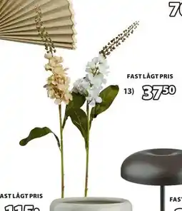 JYSK ALEX konstblomma erbjuda