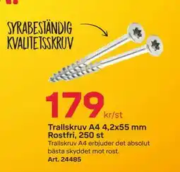 Byggmax Trallskruv A4 4,2x55 mm Rostfri, 250 st erbjuda